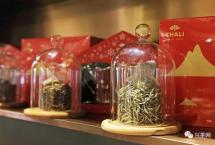 普洱茶市场下一个机会在哪？将慢茶做成“快茶”「兴茶观茶」