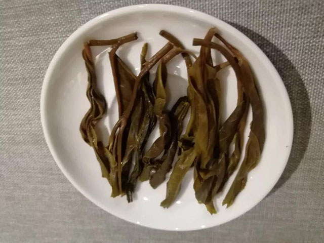 津乔普洱茶昔归忙麓普洱茶生茶叶底