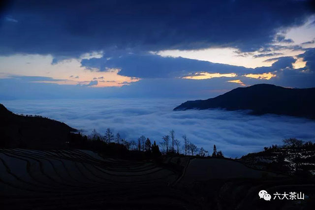 西双版纳贺开茶山