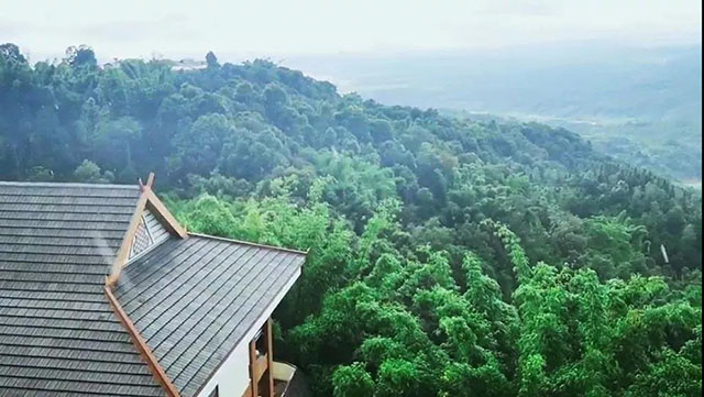 西双版纳贺开茶山