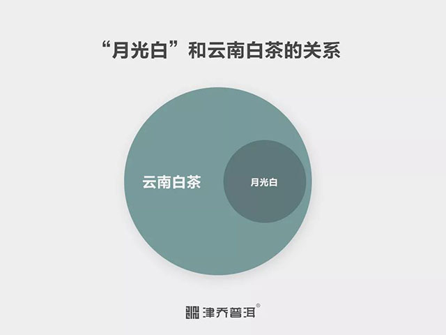 云南白茶和月光白的关系图谱