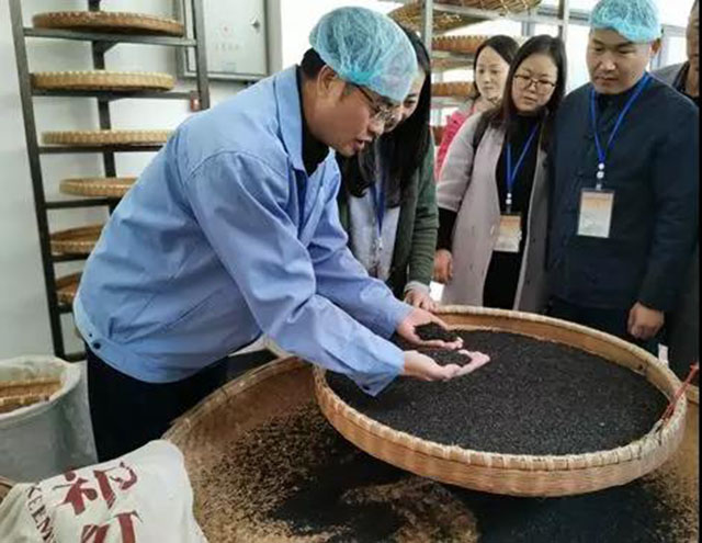 祁红非遗传承人、中国制茶大师陆国富为学员们介绍祁门红茶制作工艺流程
