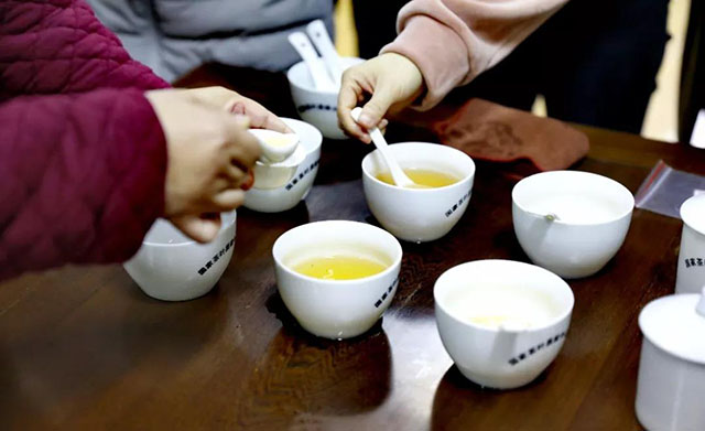 六大茶山普洱茶茶汤