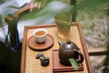 蹭茶者的觉悟「刀哥说茶」