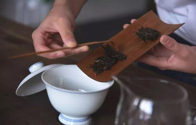 普洱茶冲泡投茶