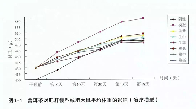数据解读：对比不饮茶的模型数据，所有饮用了普洱茶的实验对象体重均明显下降，其中“生高”降低比重最多。（低中高代表茶浓度）