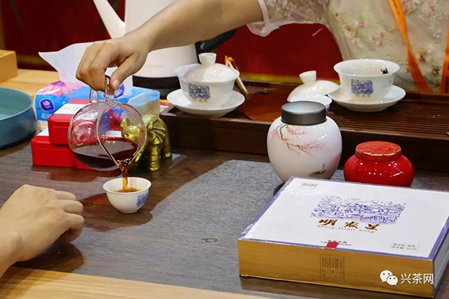 宫明普洱茶