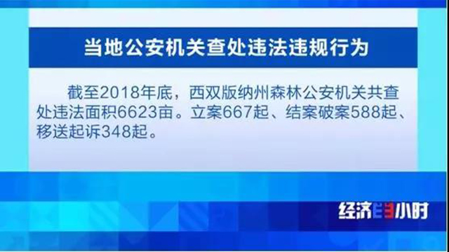 打击整治破坏森林资源违法违规行为