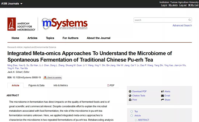 整合应用宏组学技术研究传统中国普洱茶发酵微生物组