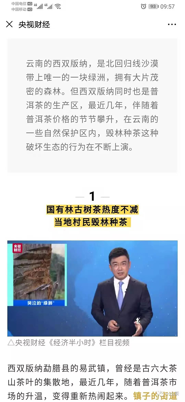 央视财经报道普洱茶乱象