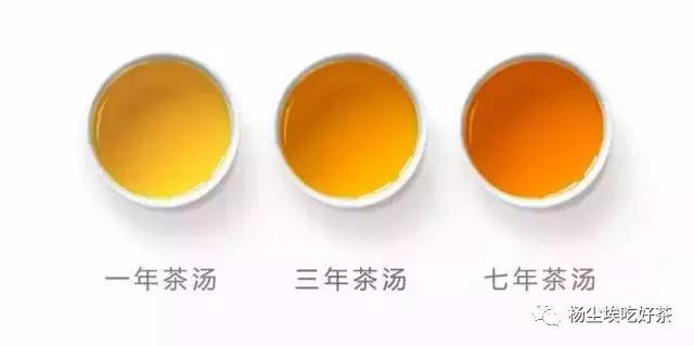 白茶汤色