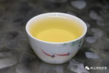 云南白茶的价值投资点在哪？「杨尘埃吃好茶」