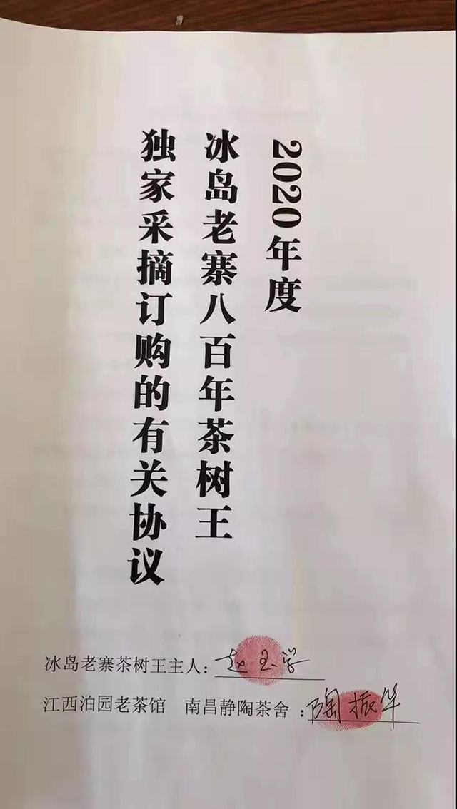 2020年冰岛茶王树采摘权合同