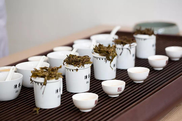 津乔普洱茶茶叶品鉴