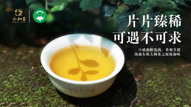 勐海合和昌有机大树饼茶