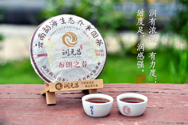 润元昌茶业布朗之春精品熟茶