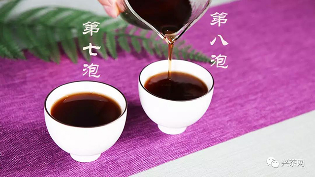 2019福海茶厂福海润普熟茶