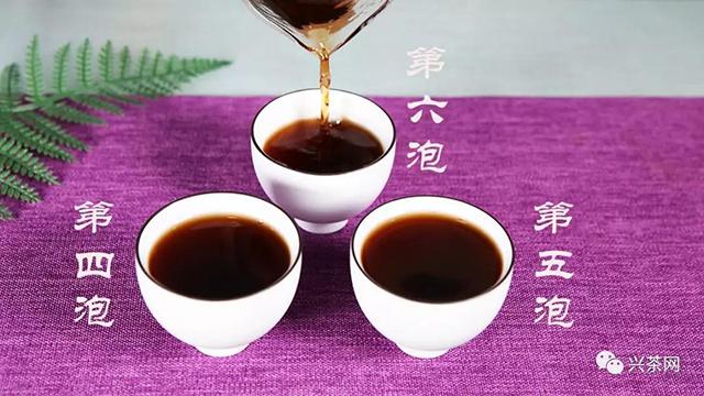 2019福海茶厂福海润普熟茶