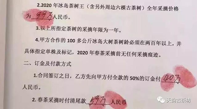 2020年冰岛老寨茶王树采摘权签约合同