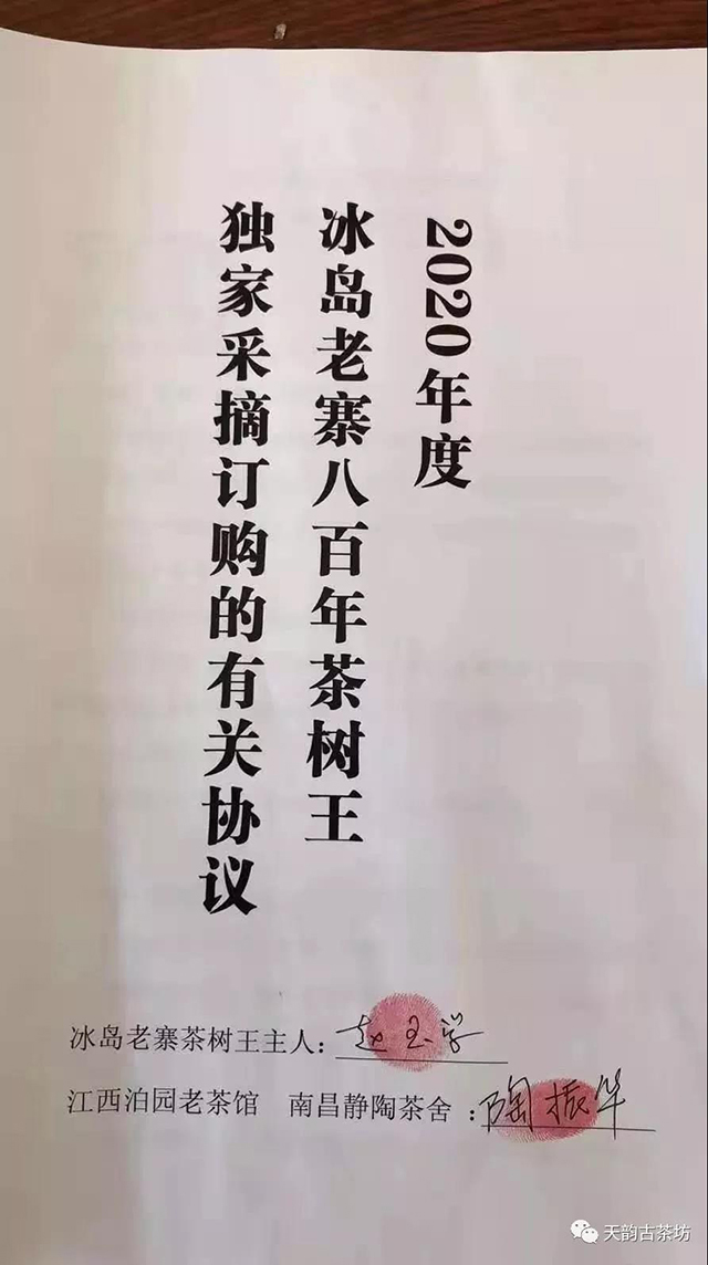 2020年冰岛老寨茶王树采摘权签约合同