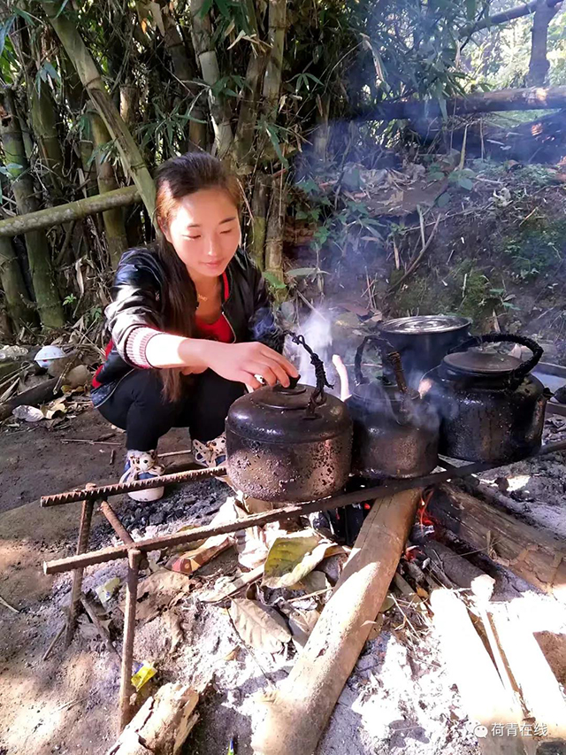 普洱赢莊周赢