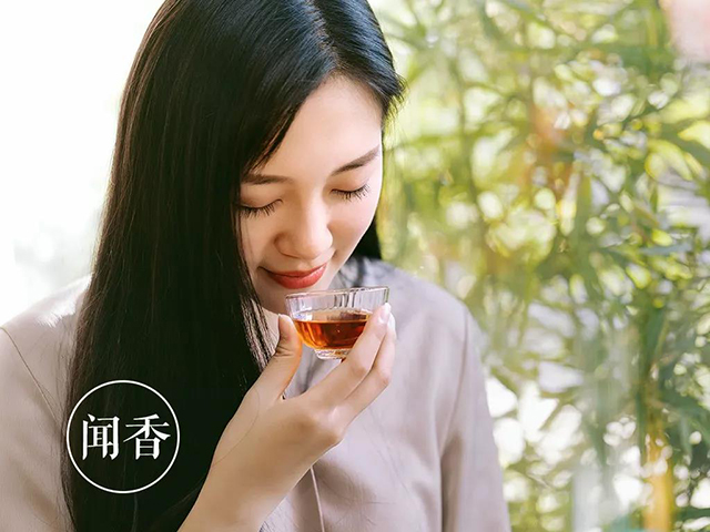 普洱茶品饮闻香