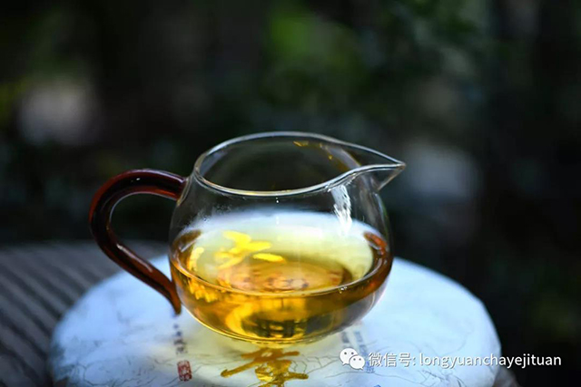 龙园号大班章生茶