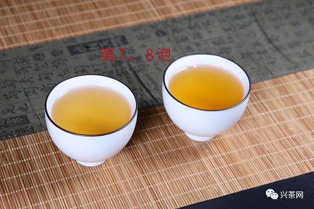佳兆业兴海茶乌金号生茶评测