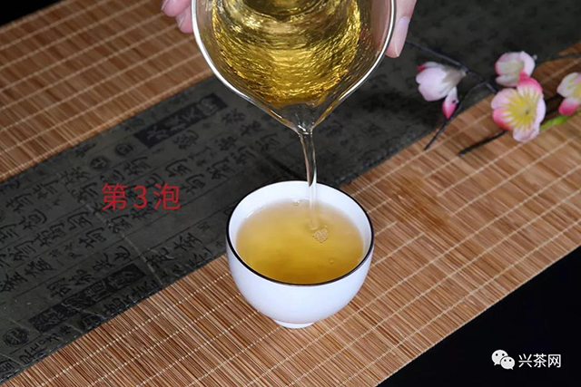 佳兆业兴海茶乌金号生茶评测