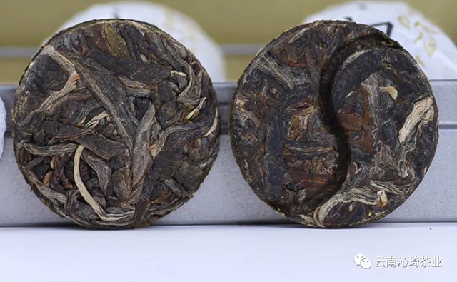 云南沁琦茶业初见普洱茶龙珠