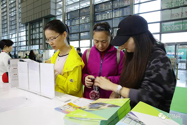 深圳茶博会好茶仓仓储