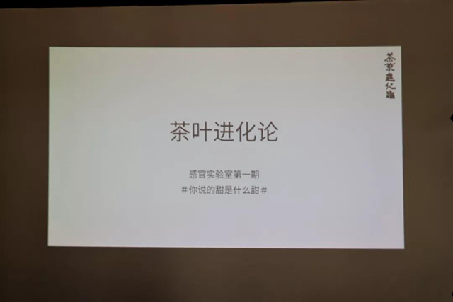 茶叶进化论沙龙
