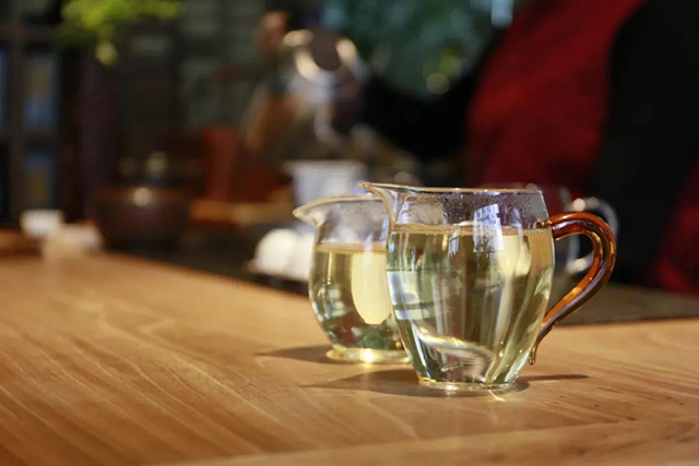 茶叶进化论沙龙