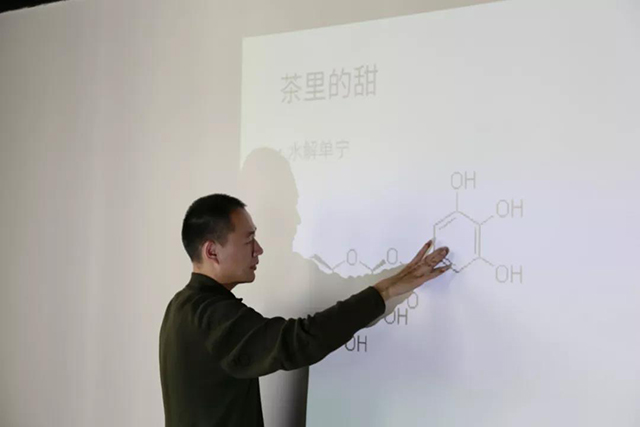 茶叶进化论沙龙