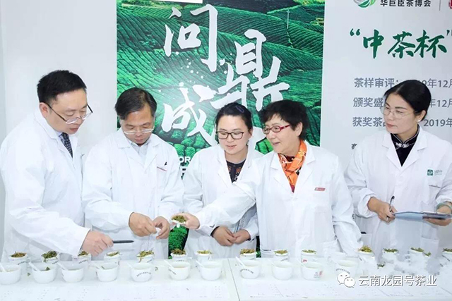 2019中茶杯第九届国际鼎承茶王赛龙园号斩获9项大奖