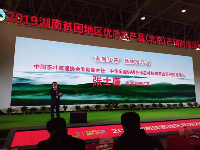 中国茶叶流通协会专家委主任张士康进行专业点评