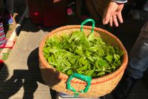 茶品牌认知传播成本、渠道分解成本太高「茶届白马非马专栏」