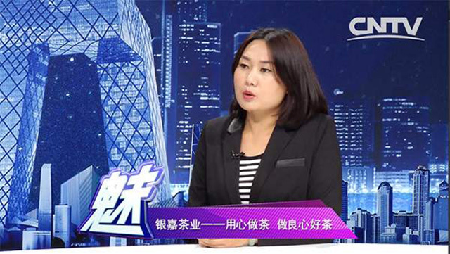 普洱市银嘉茶业有限公司总经理李新华女士