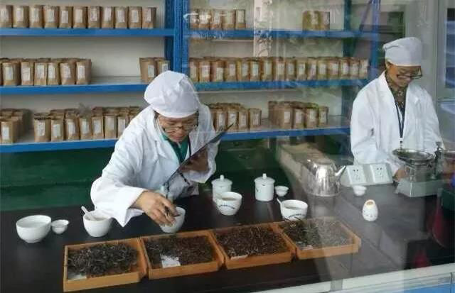 普洱茶工艺检验