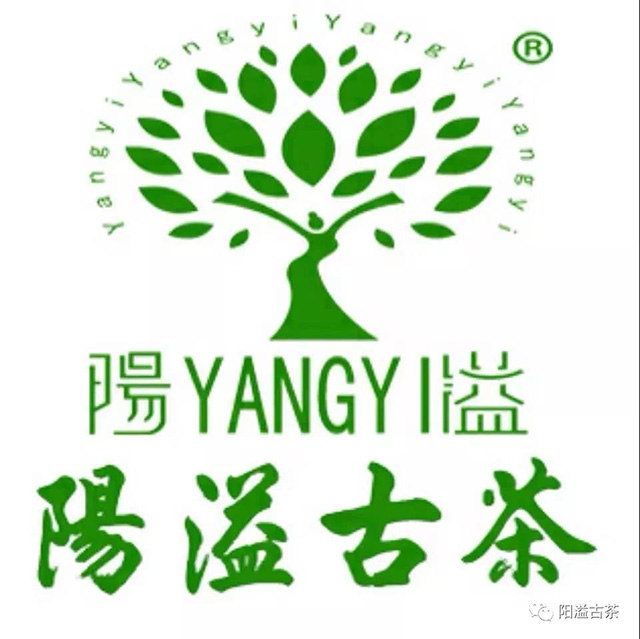 云南阳溢茶仙子茶业有限公司旗下品牌阳溢古茶LOGO