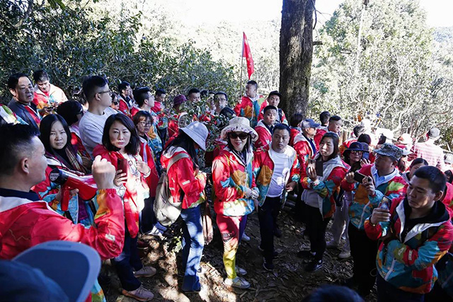 2019双陈普洱主题年会