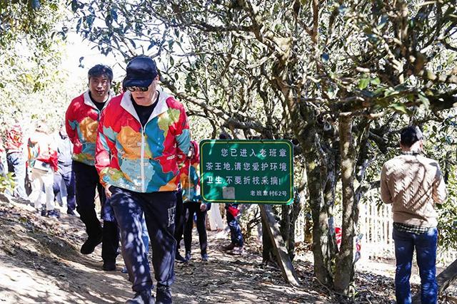 2019双陈普洱主题年会