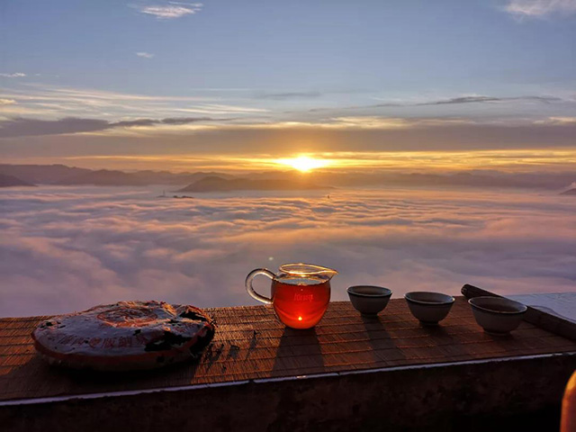 普洱茶茶汤