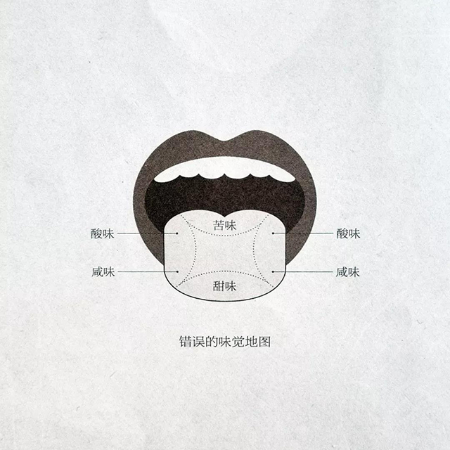 错误的味觉地图