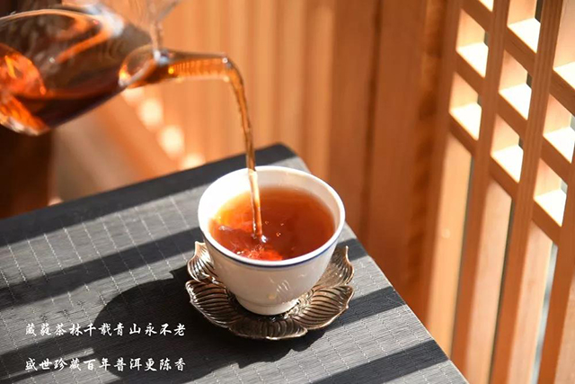 捌正道普洱茶熟茶