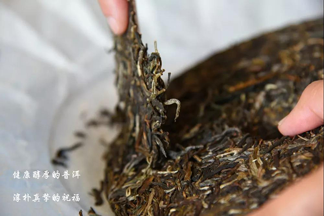 捌正道普洱茶生茶