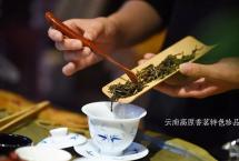 怎么区分普洱春、秋茶，这就是分辨妙招？