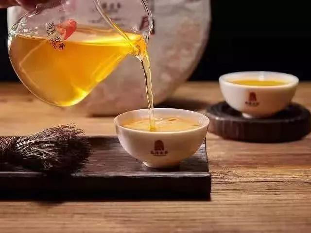 高顶古茶