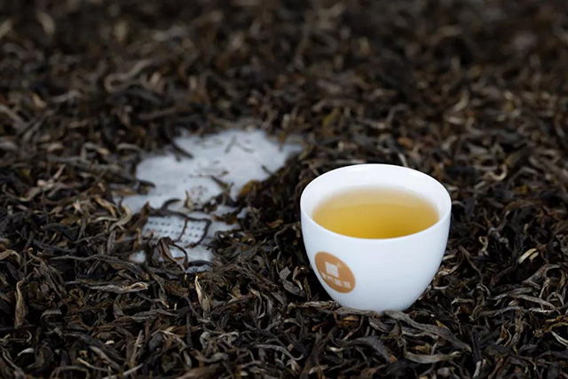 津乔普洱茶茶汤