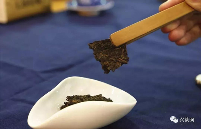 普洱茶